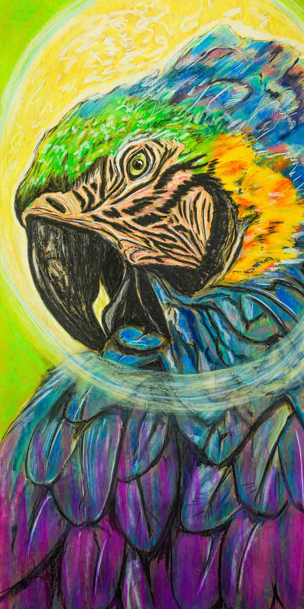 Macaw Selva Tierra Art
