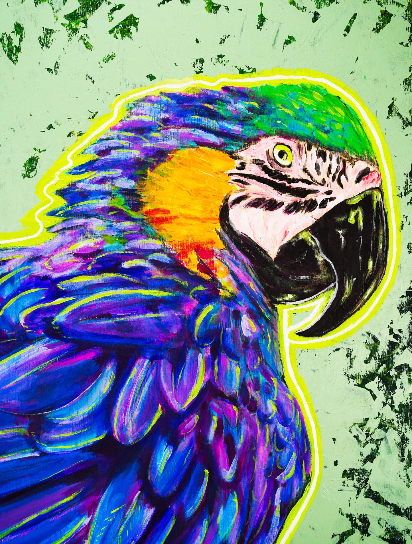 Pair of Macaw Parrots