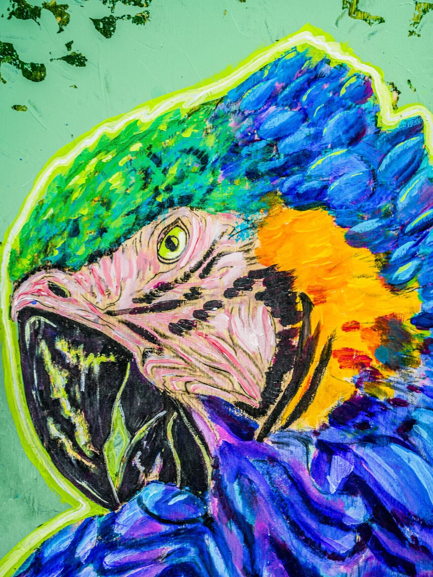 Pair of Macaw Parrots Selva Tierra Art