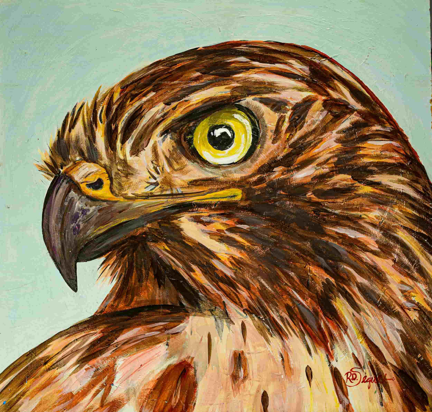 Red-Tail Hawk Selva Tierra Art