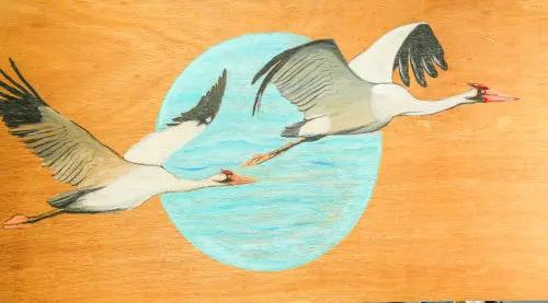 Sandhill Cranes Selva Tierra Art