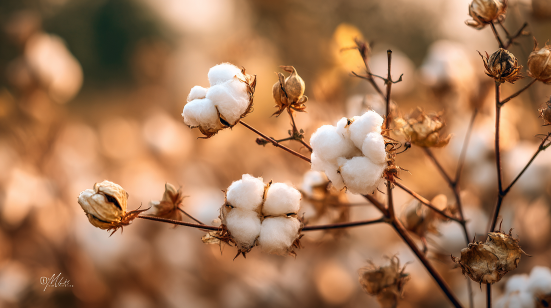 How Natural Fiber Clothing Improves Your Health — And Why What You Wear Matters More Than You Think