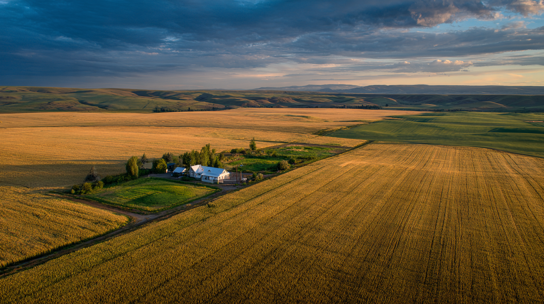 Aerial view of vast industrial monoculture wheat field meeting edge of diverse traditional small farm, dramatic contrast, golden hour, documentary photography