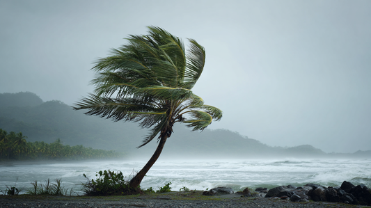 What Is Resilience? The Ecological Truth Behind The Most Misunderstood Word Of Our Time
