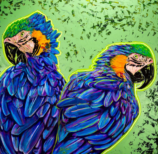 Pair of Macaw Parrots