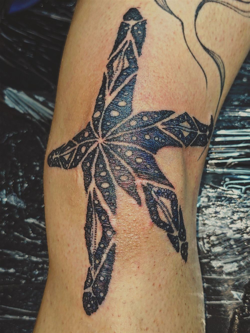 Polynesian-style starfish tattoo on a knee by Jungle Earth Tattoos