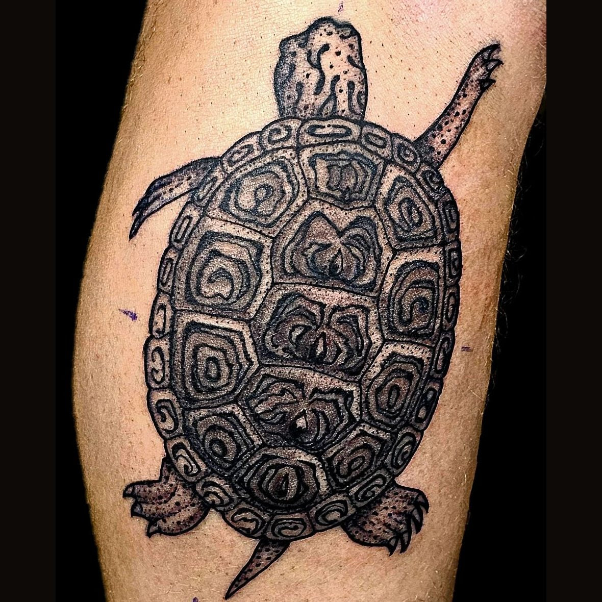 Turtle tattoo with a patterned shell by Jungle Earth Tattoos